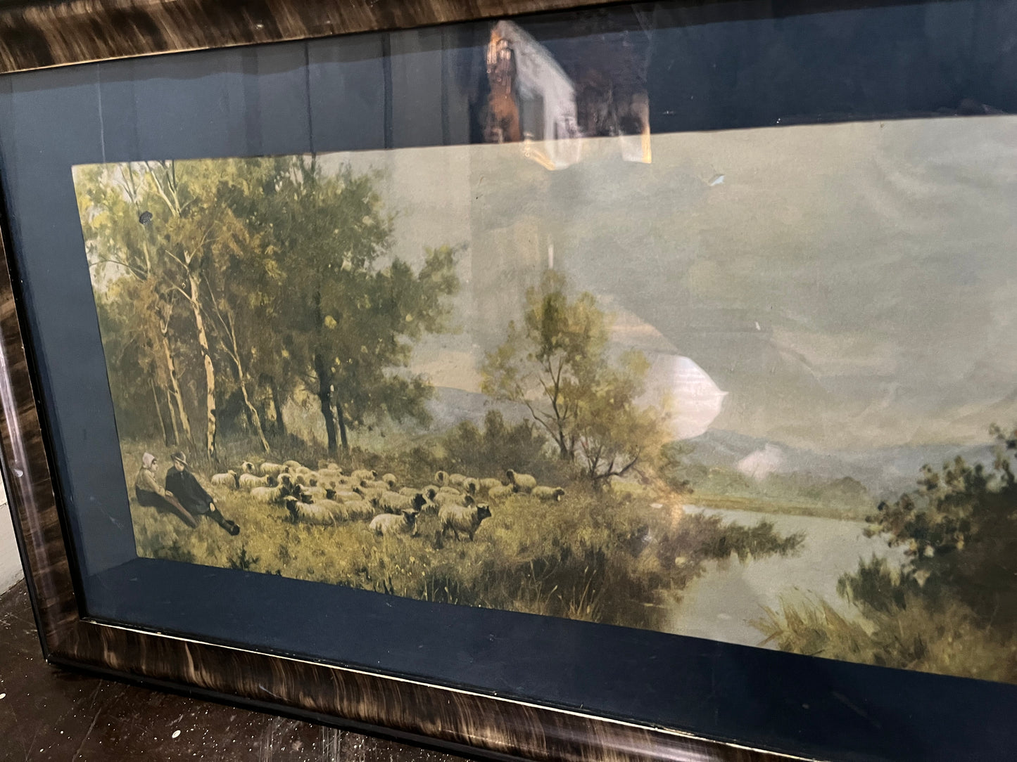 Sheep Print